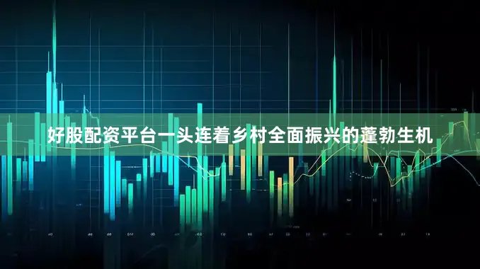 好股配资平台一头连着乡村全面振兴的蓬勃生机