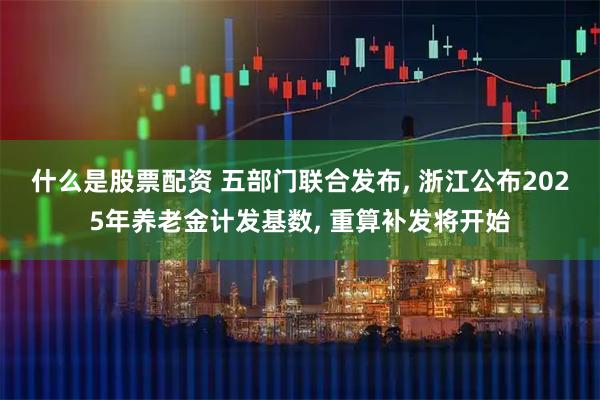 什么是股票配资 五部门联合发布, 浙江公布2025年养老金计发基数, 重算补发将开始
