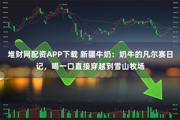 堆财网配资APP下载 新疆牛奶：奶牛的凡尔赛日记，喝一口直接穿越到雪山牧场