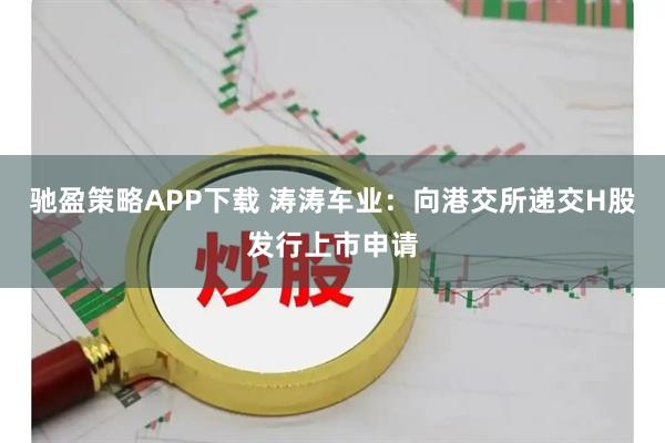 驰盈策略APP下载 涛涛车业：向港交所递交H股发行上市申请